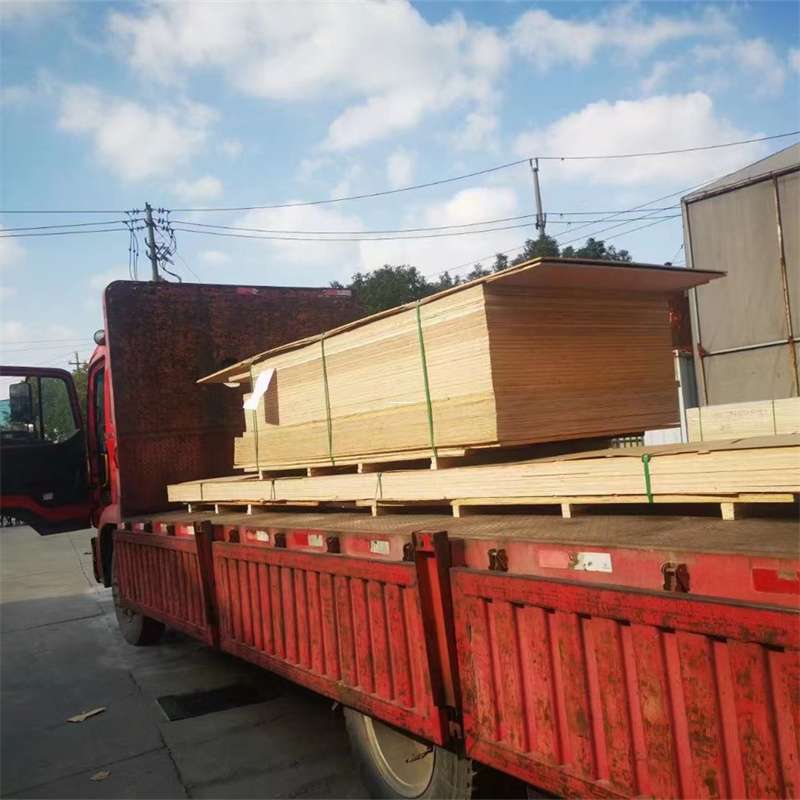 河南新乡获嘉县至塔城货运专线，一站式物流服务助您成功